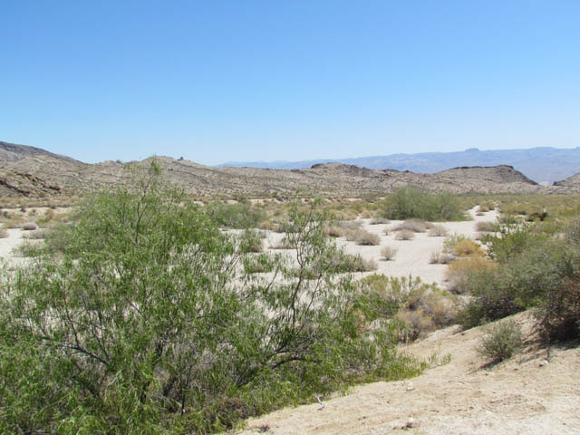 Desert Wash
